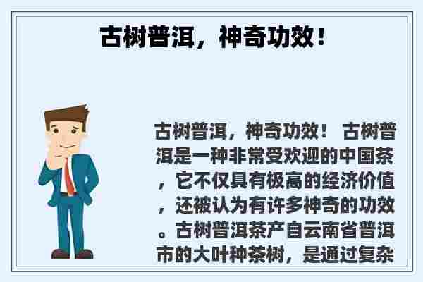 关于古树普洱，神奇功效！知识的介绍